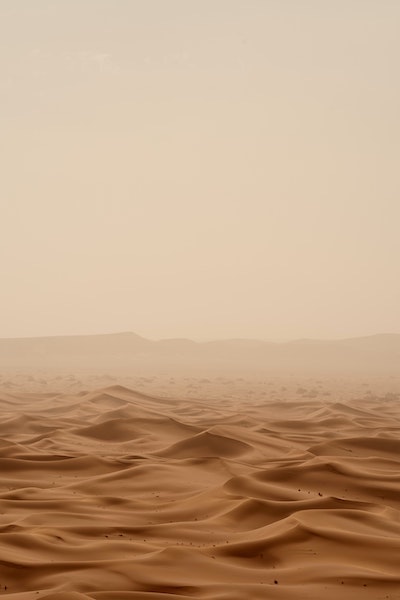 Picture of a rolling sandy desert.