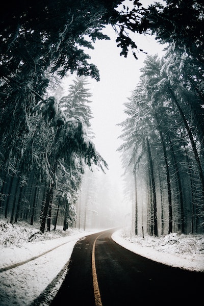 Picture of a wintry forest and a road